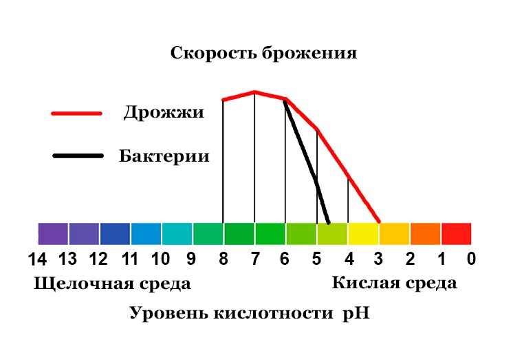 График зависимости скорости брожения от кислотности