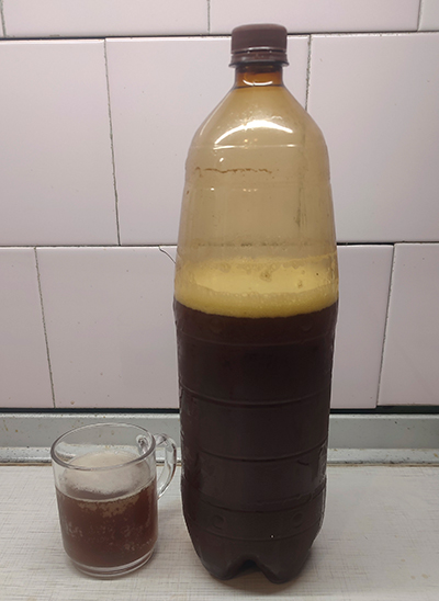 homemade kvass